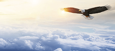 Z6·人生就是博(中国区)有限公司官网