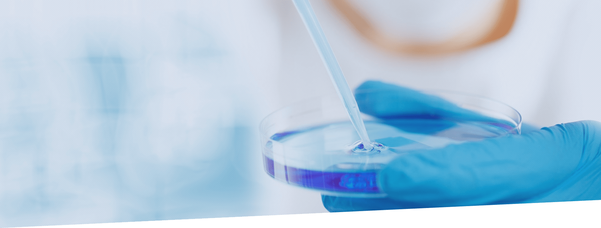 Z6·人生就是博(中国区)有限公司官网